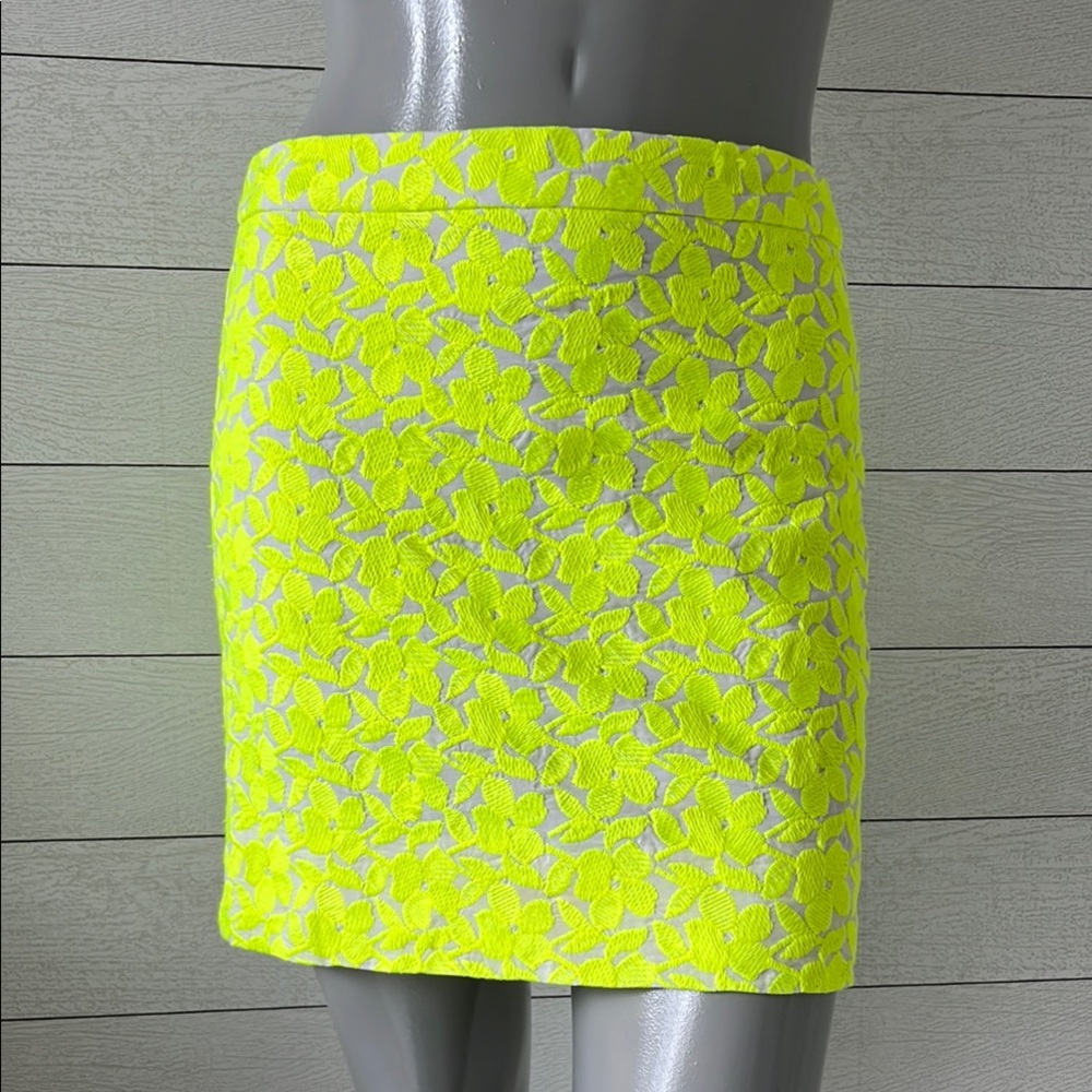 J. Crew skirt 0